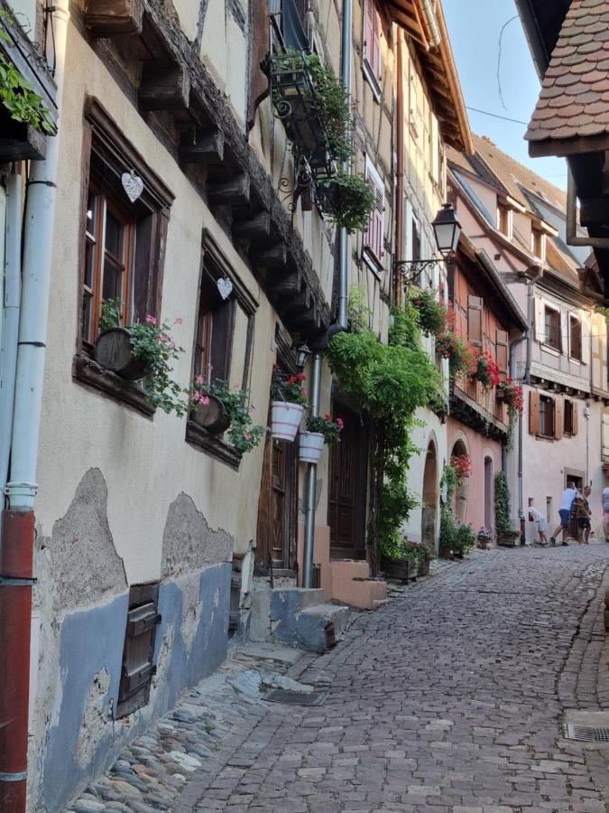 L'Ourson Apartment Colmar Exterior foto